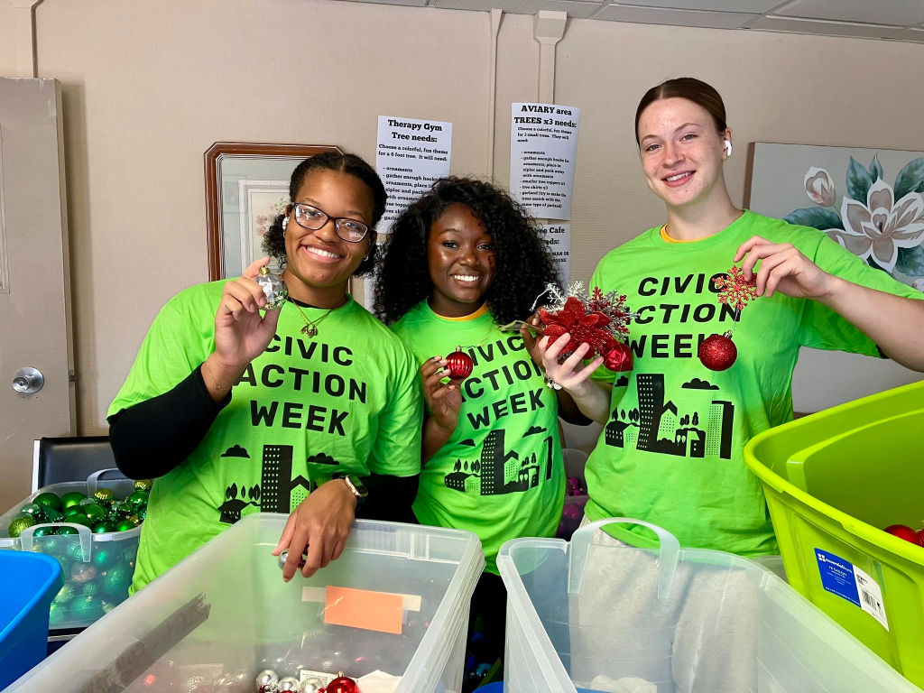 Vincentian Home Organizing
