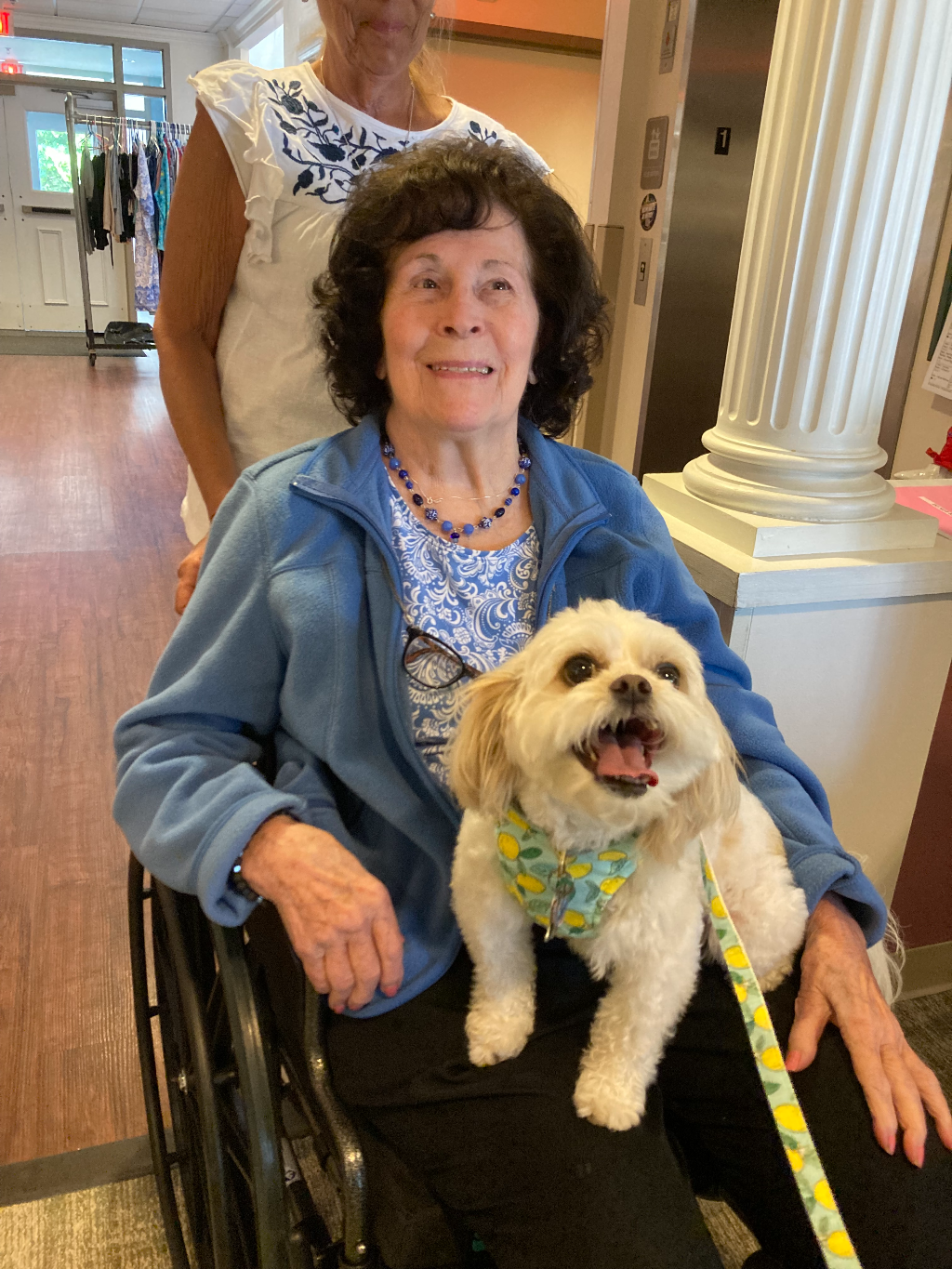 VH Personal Care Therapy Dog Visits