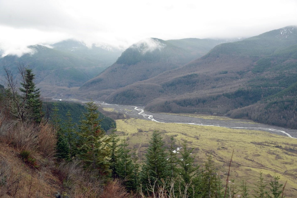 Mount Saint Helens Wildlife Area Mudflow Unit Elk Habitat Enhancement