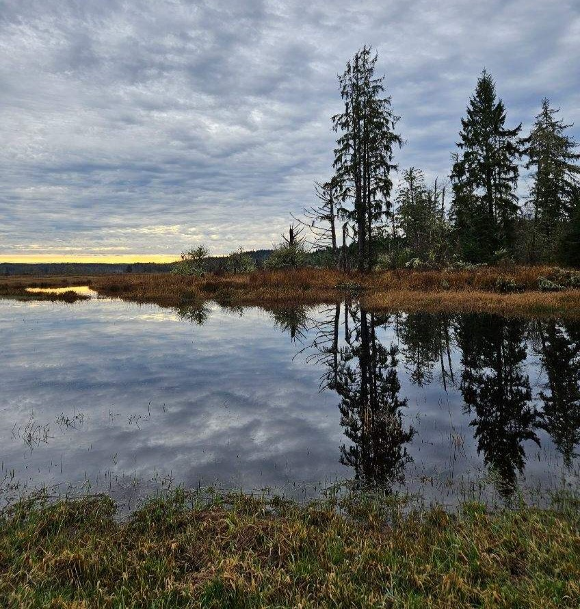Litter Clean Up at the Johns River Unit