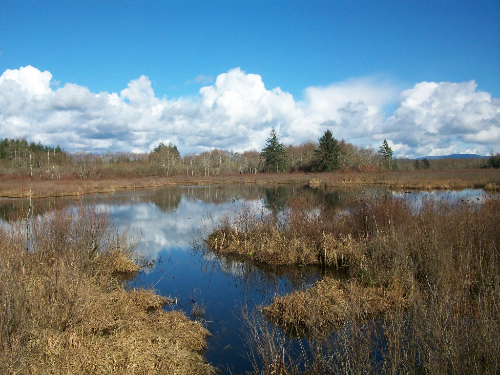 Litter Clean Up at the Chehalis Unit