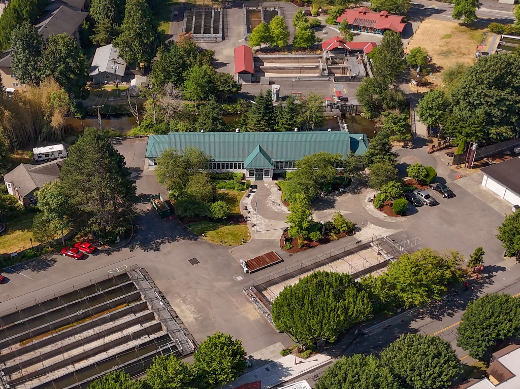 Friends of the Issaquah Salmon Hatchery (FISH)