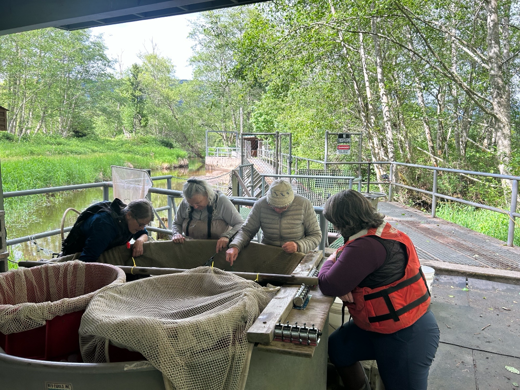 Snow Creek Research Station Smolt Out-migration