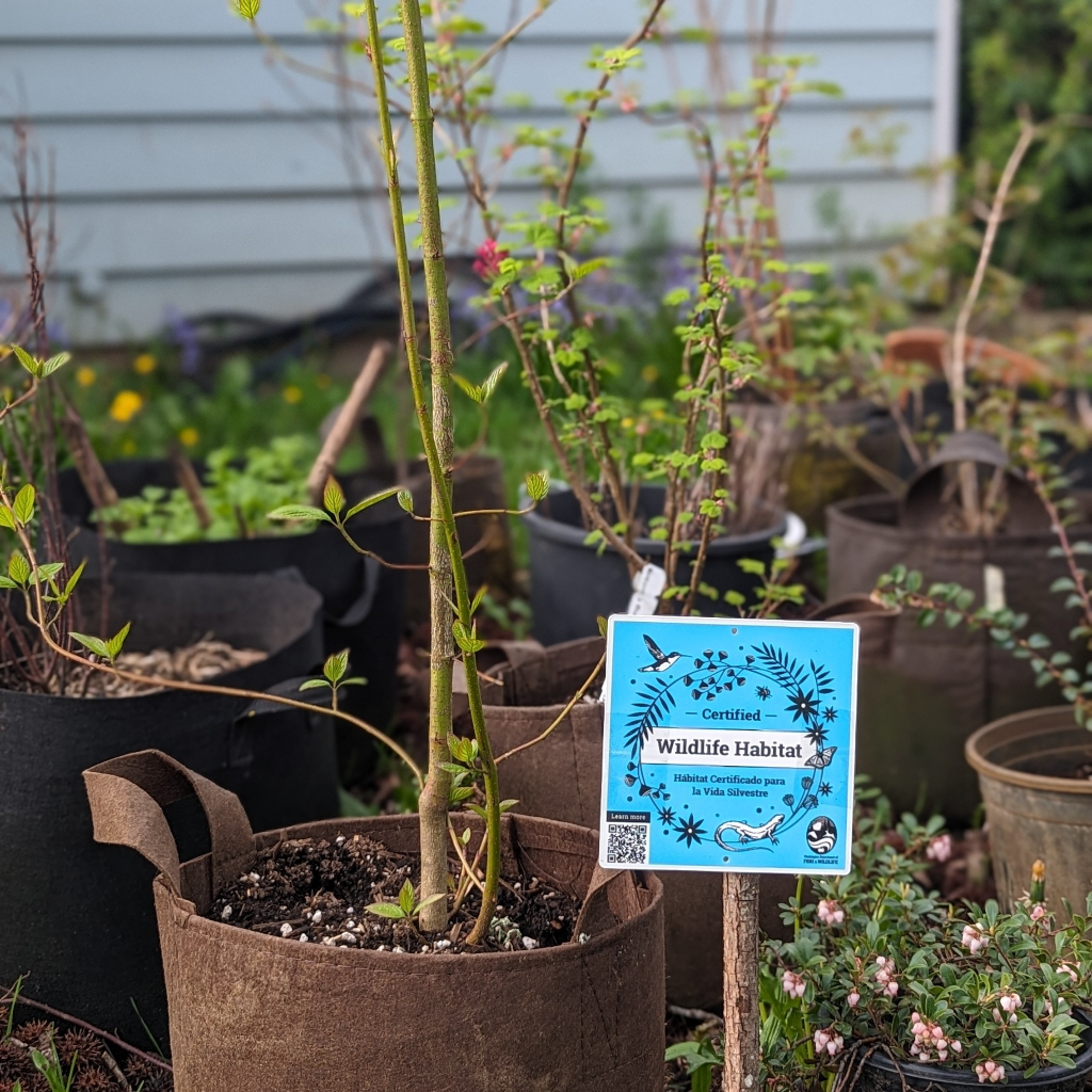 Habitat at Home Packet Packing Party