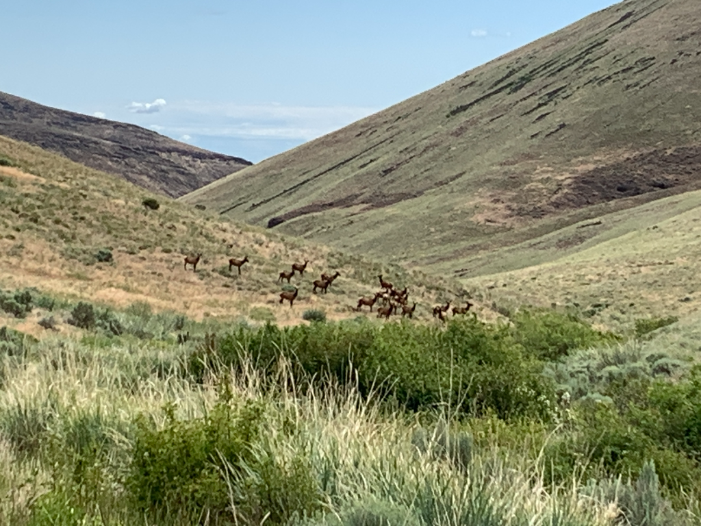 LT Murray Wildlife Area Volunteer Project Opportunities