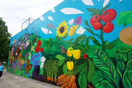Volunteer Area Mural Project