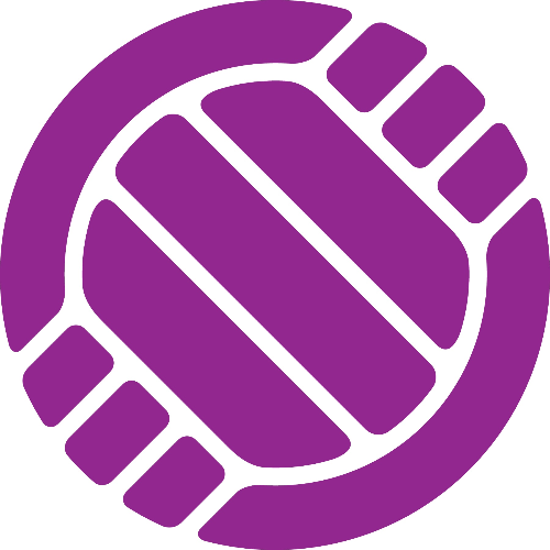 McDonald Spring Volleyball