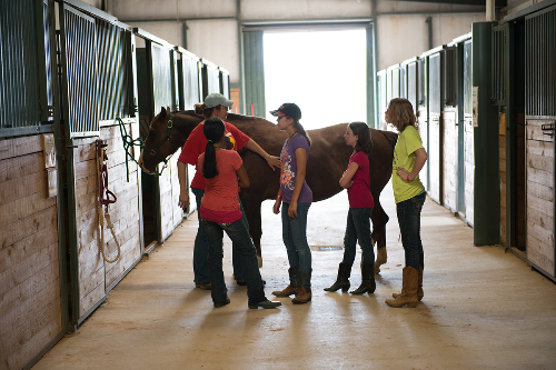 Equestrian Center Volunteers (YMCA CAMP CARTER)
