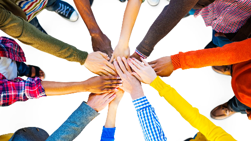 Committee and Policy Volunteers - General Interest