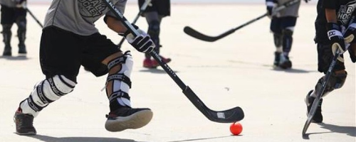 Torrance-South Bay YMCA Ball Hockey League - Year Round 2025